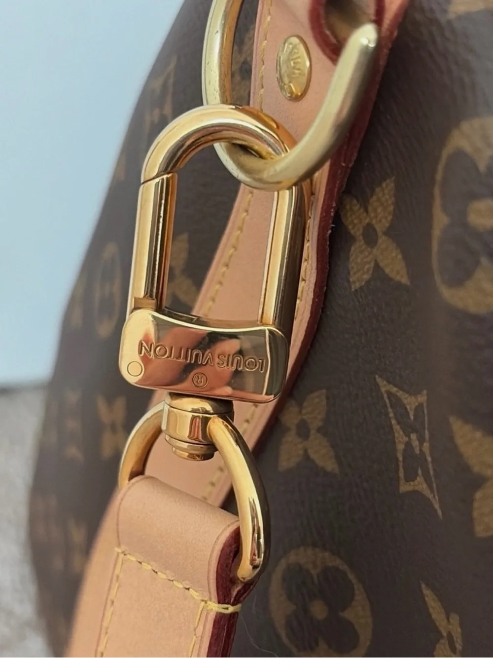 Louis Vuitton iconic lv